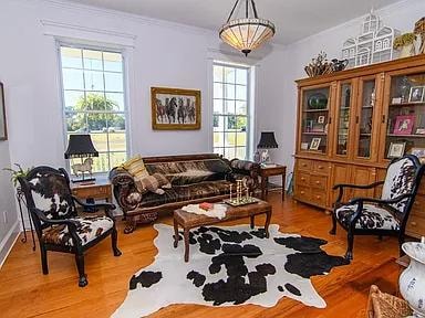 25267 Seaside Court — living room